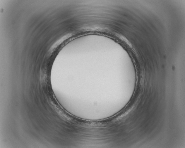 X0000086040922200704202007