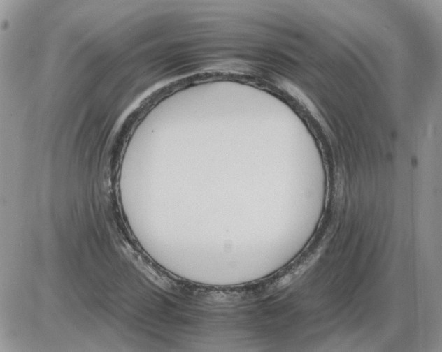 X0000086040923200704202007