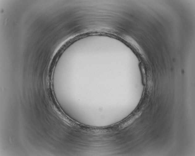 X0000086040924200704202007