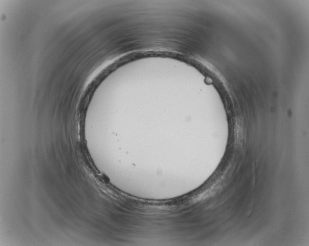 X0000086040925200704202007