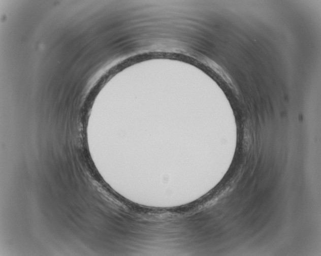 X0000086040926200704202007