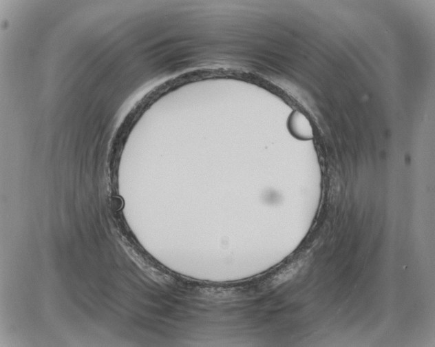 X0000086040927200704202007