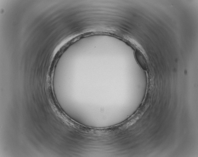 X0000086040928200704202007