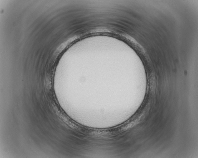 X0000086040929200704202007