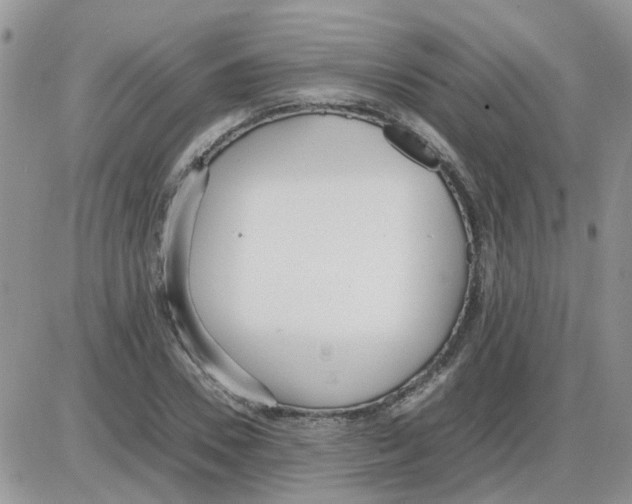 X0000086040930200704202007