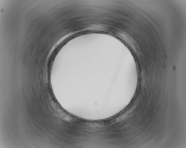 X0000086040931200704202007