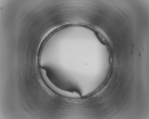 X0000086040932200704202007