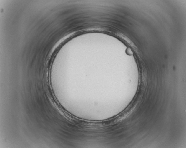 X0000086040933200704202007