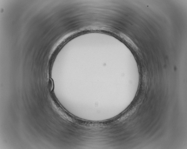 X0000086040934200704202007