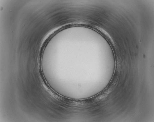 X0000086040935200704202007