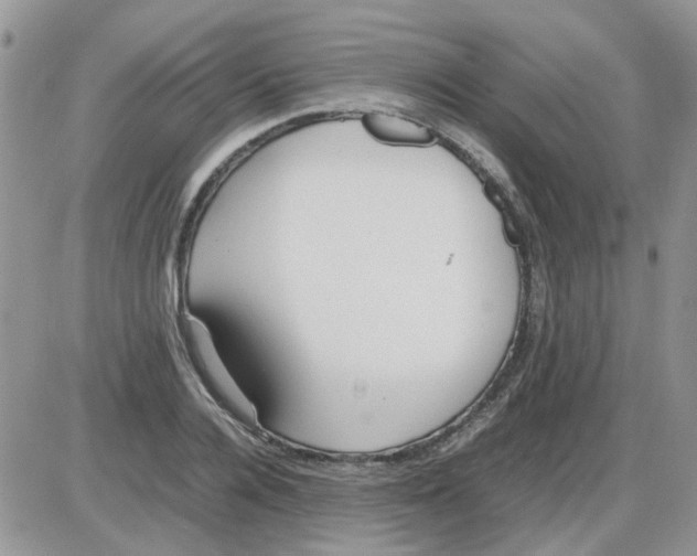 X0000086040936200704202007