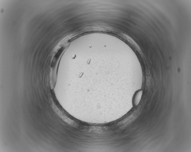 X0000086040938200704202007