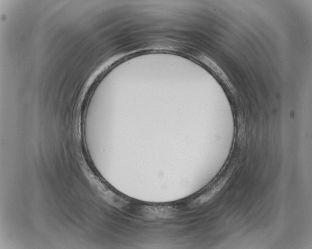 X0000086040939200704202007