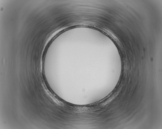 X0000086040940200704202007