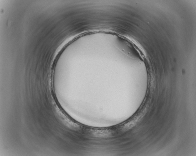 X0000086040941200704202007