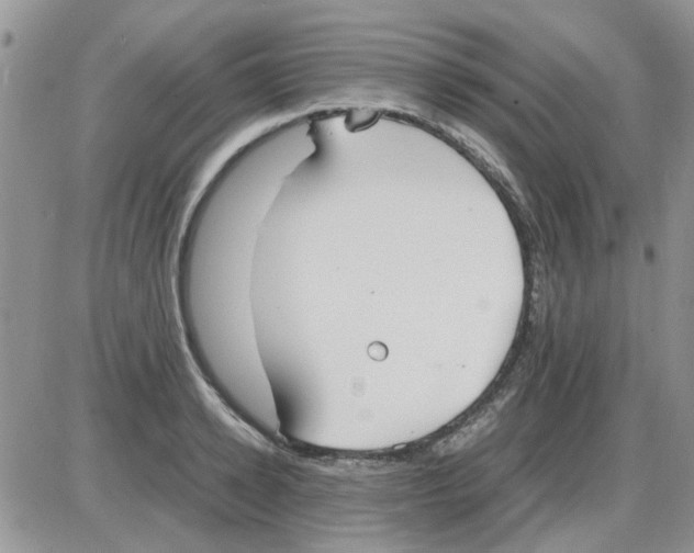 X0000086040942200704202007