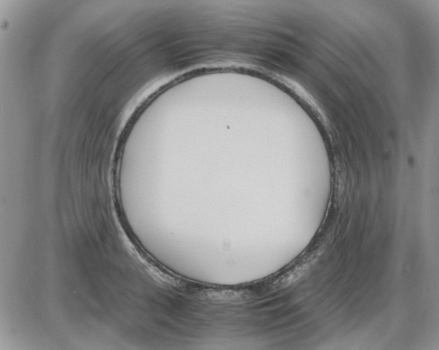 X0000086040943200704202007