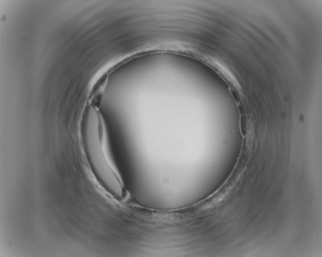 X0000086040944200704202007