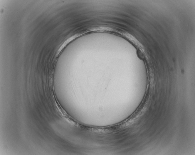 X0000086040945200704202007