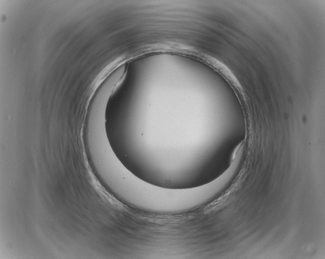 X0000086040946200704202007