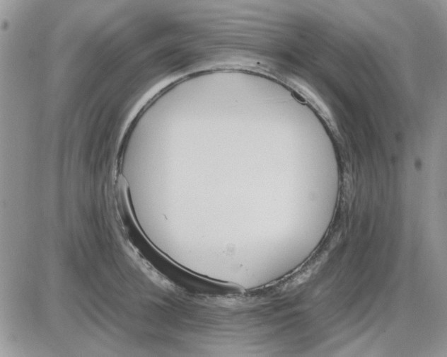 X0000086040948200704202008