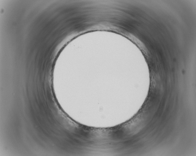 X0000086040950200704202008