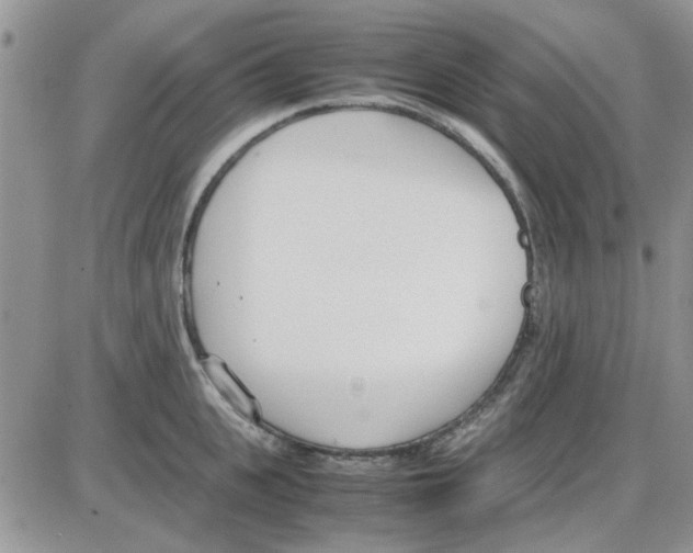 X0000086040951200704202008