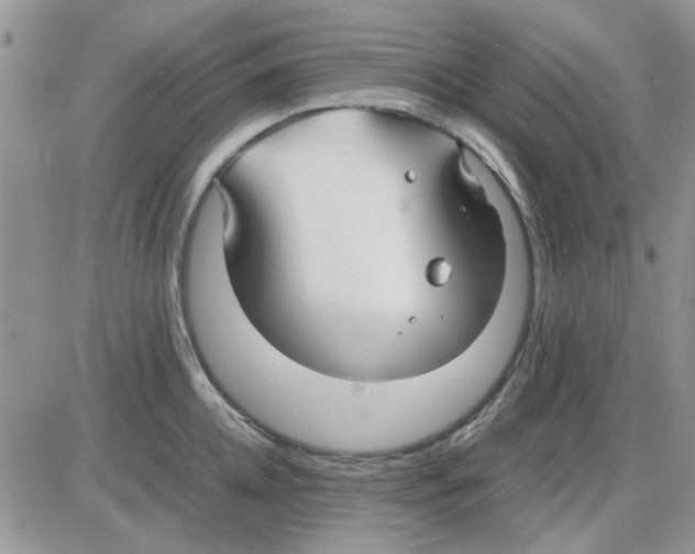 X0000086040952200704202008