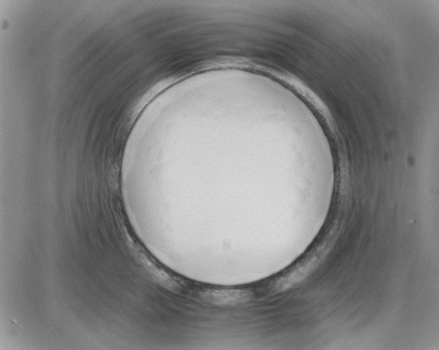 X0000086040953200704202008