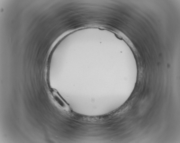 X0000086040955200704202008