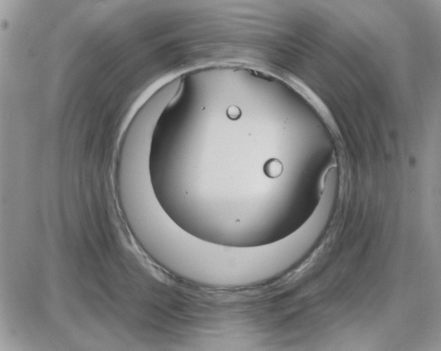 X0000086040956200704202008