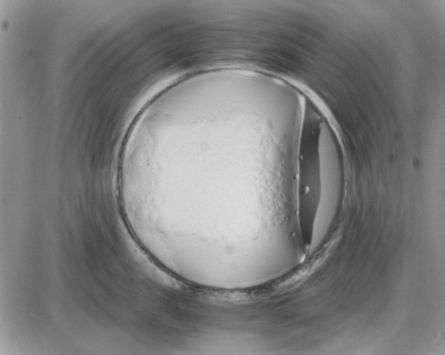 X0000086040957200704202008