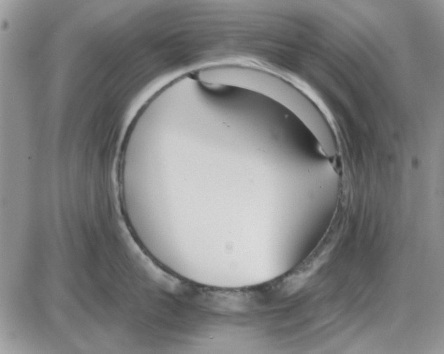 X0000086040959200704202008