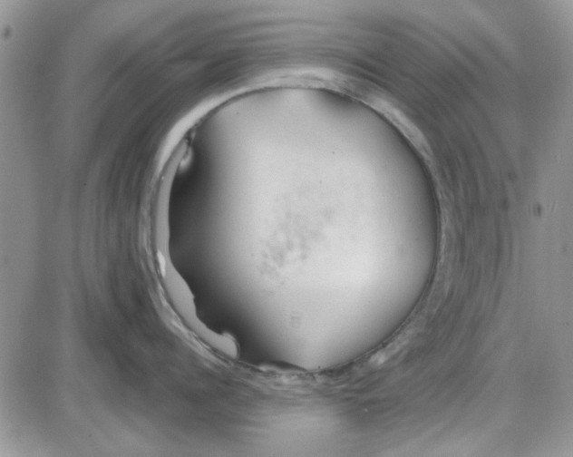 X0000086040960200704202008