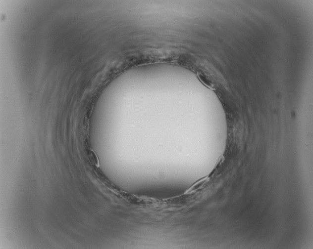 X0000086040961200704202007