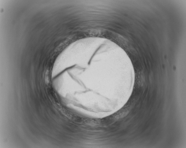 X0000086040962200704202007