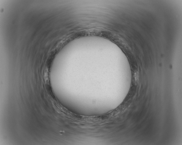 X0000086040963200704202007