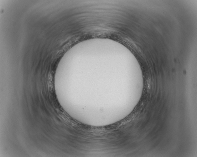 X0000086040964200704202007