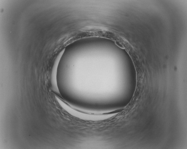 X0000086040965200704202007