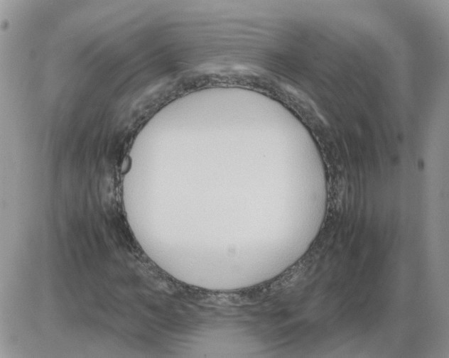 X0000086040966200704202007