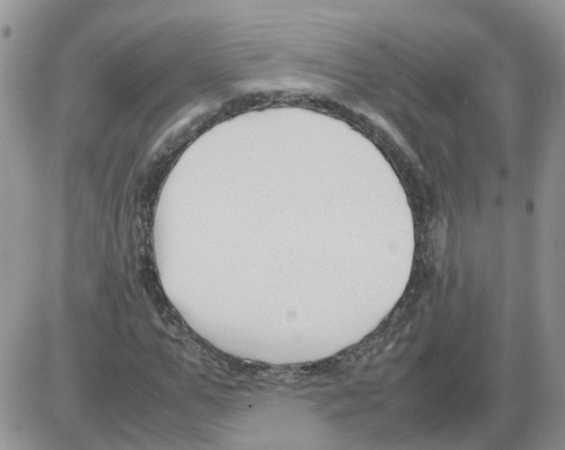 X0000086040967200704202007