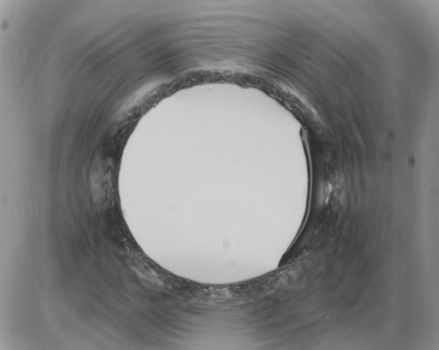 X0000086040968200704202007