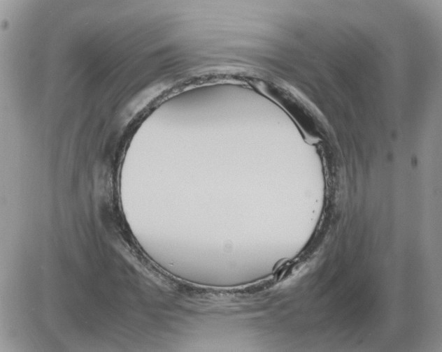 X0000086040969200704202007