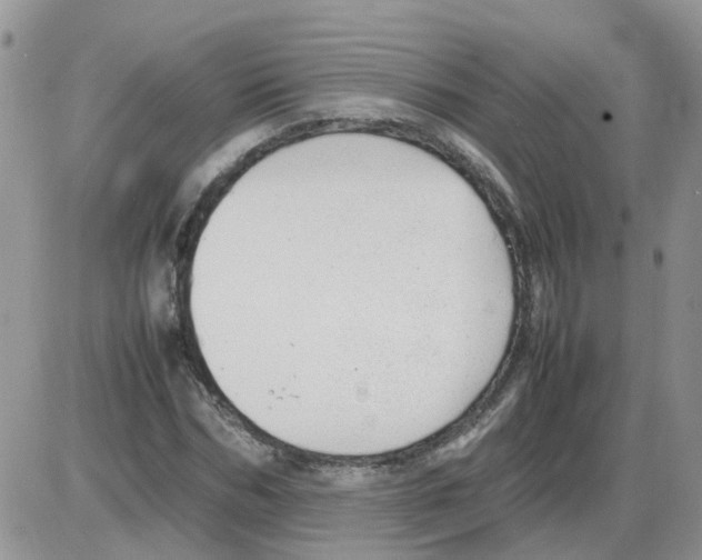 X0000086040970200704202007