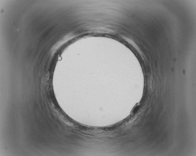 X0000086040971200704202007