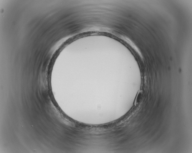 X0000086040972200704202007