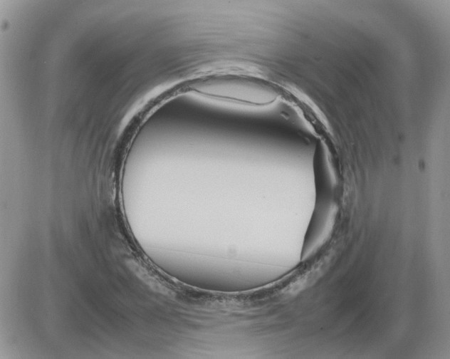 X0000086040973200704202007