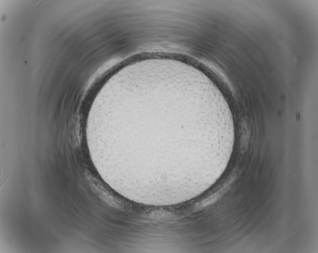 X0000086040974200704202007