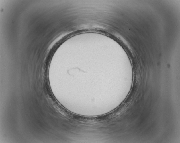 X0000086040975200704202007