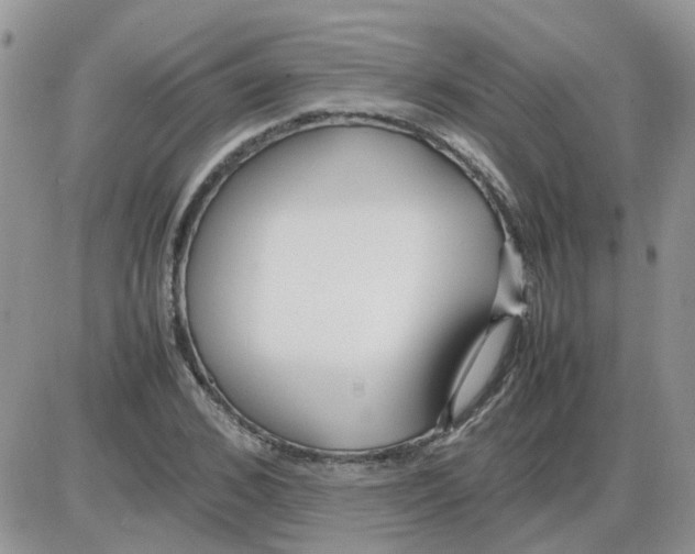 X0000086040976200704202007